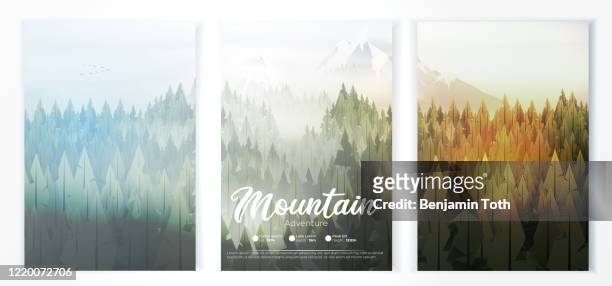 ilustraciones, imágenes clip art, dibujos animados e iconos de stock de cartel del campamento con bosque de pinos y montañas - exterior