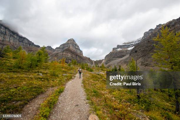 Sentinel Canada 55 Sentinel Range Canada Stock Photos, High-Res Pictures, and Images ...