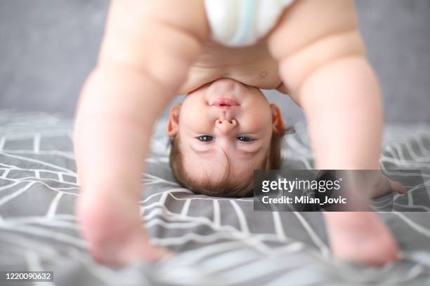 attempting my first steps - crawling stock pictures, royalty-free photos & images