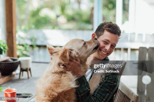 wij zijn beste vrienden! - dog and owner stockfoto's en -beelden