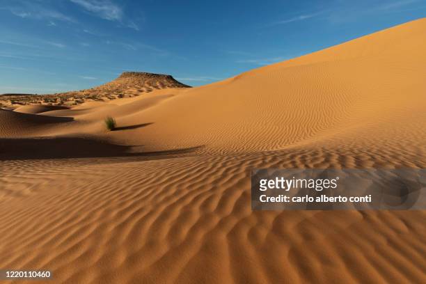 sand texture in sahara desert, tunisia - sahara stock pictures, royalty-free photos & images