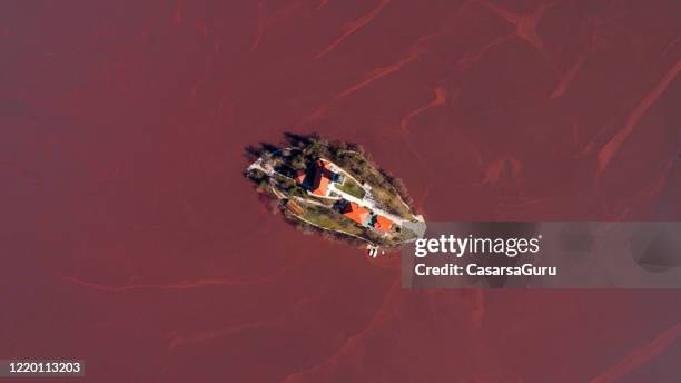 direttamente sopra bled lake ricoperto di cianobatterio in fiore - foto di repertorio - lago di bled foto e immagini stock