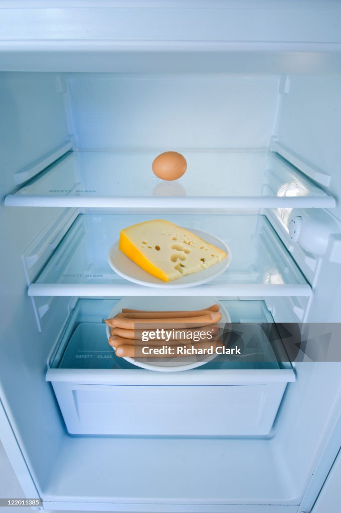 Contents of a fridge