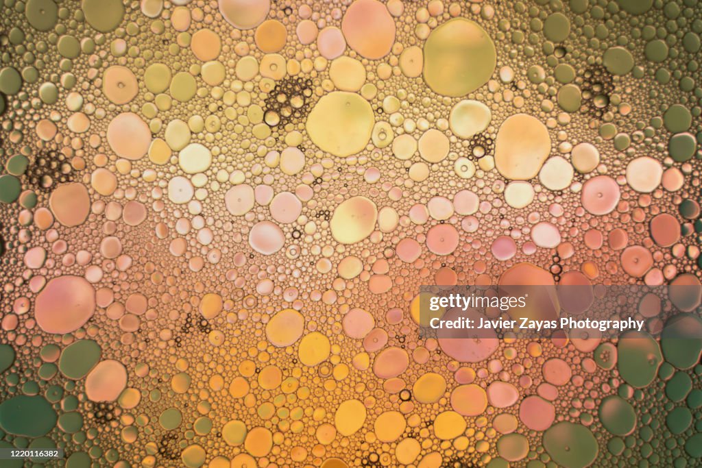 Multi colored Bubbles Of Oil And Water