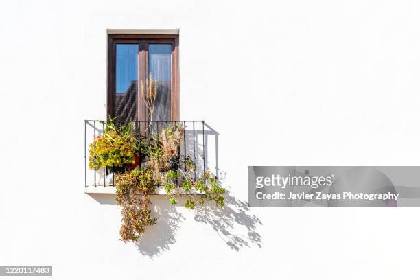 beautiful balcony with typical plants - european outdoor urban walls stockfoto's en -beelden