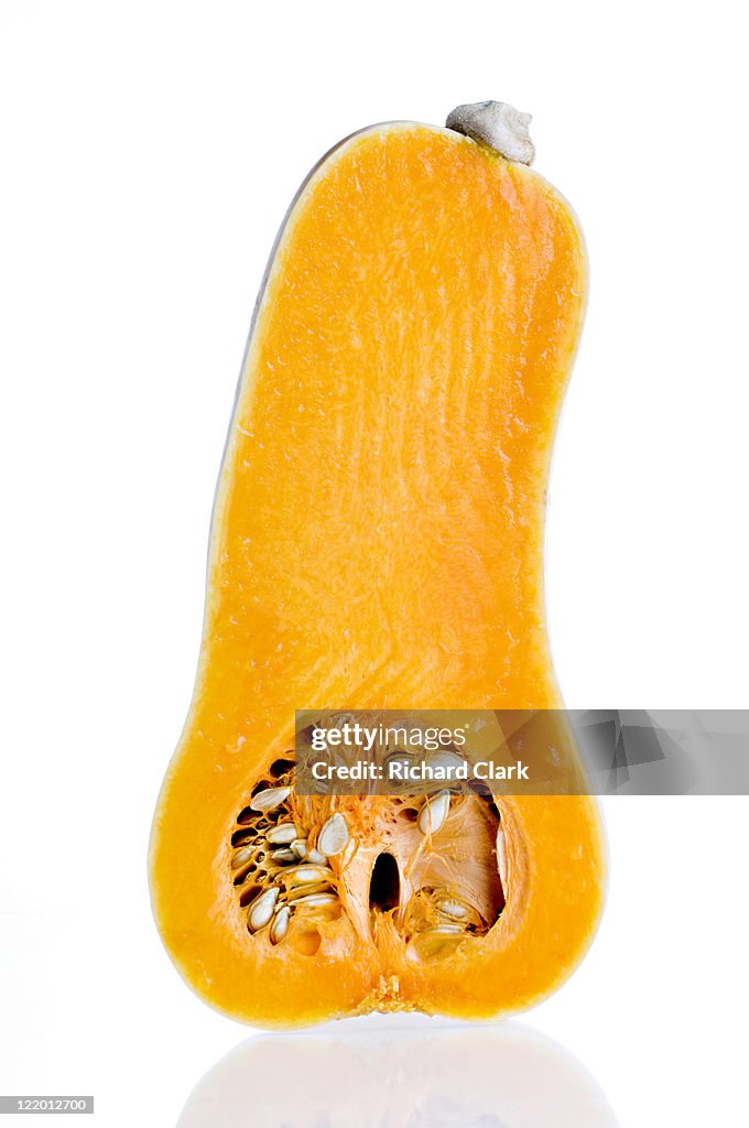 Butternut squash