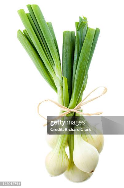 spring onions - oignon nouveau photos et images de collection