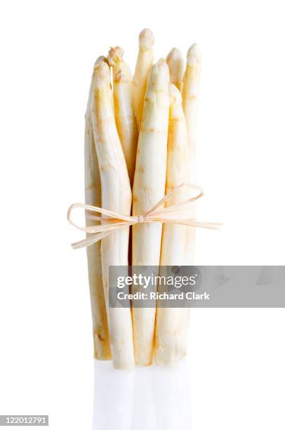 white asparagus - asparagus stock pictures, royalty-free photos & images