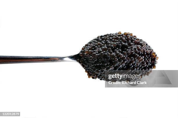 spoonful of caviar - kaviaar stockfoto's en -beelden