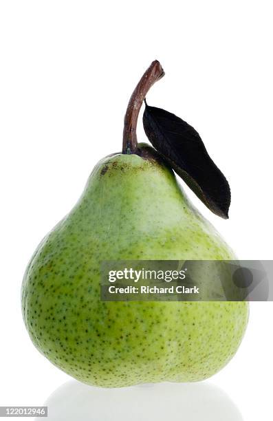 pear - pera fotografías e imágenes de stock