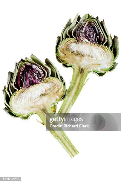 globe artichoke - artischocke stock-fotos und bilder