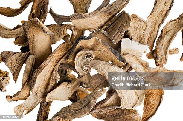dried mushrooms (porcini) - porcini mushroom stock pictures, royalty-free photos & images