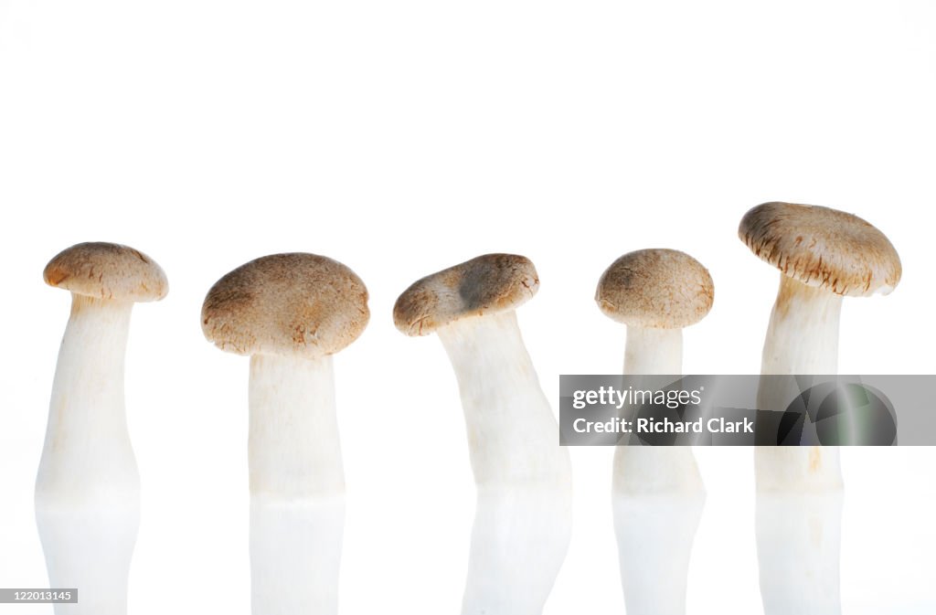 Mushrooms