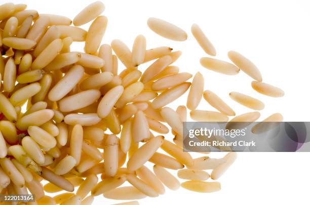 Pinjoli 4,502 Pignoli Nuts Stock Photos, High-Res Pictures, and Images - Getty ...