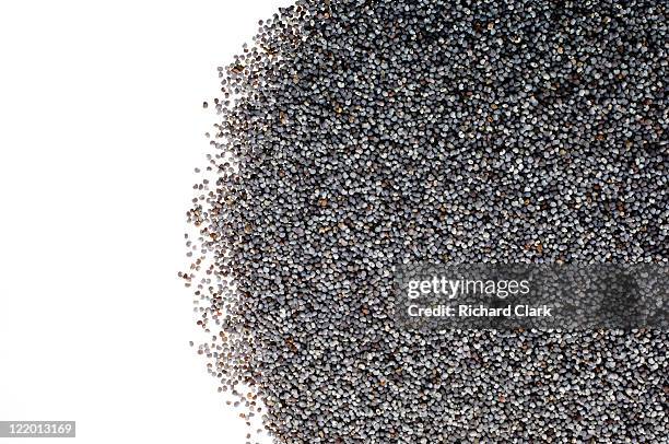 poppy seeds - poppy seed stock-fotos und bilder