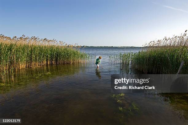 young boy fishing - ffi feature stock pictures, royalty-free photos & images