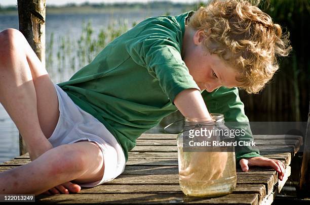 young boy fishing - ffi feature stock pictures, royalty-free photos & images