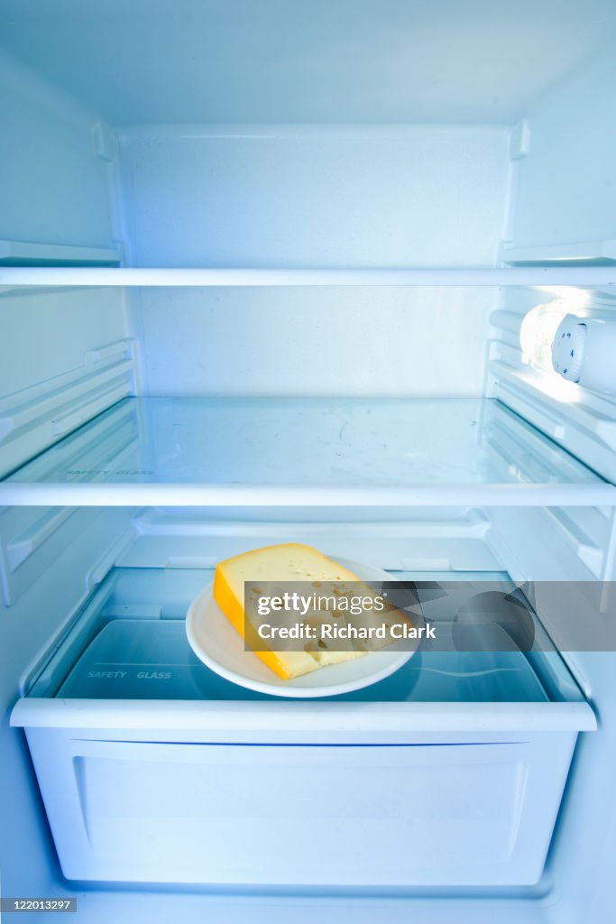 Contents of a fridge
