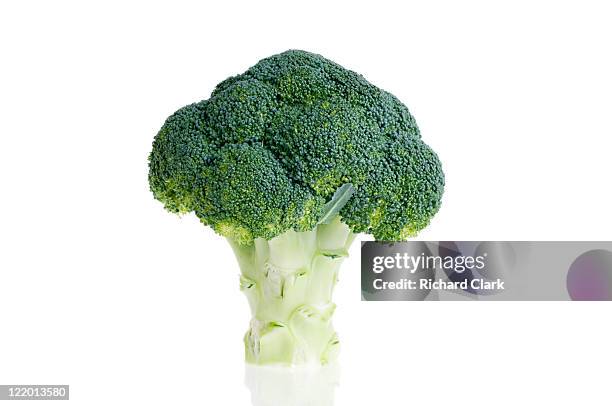 broccoli - brocoli stock-fotos und bilder