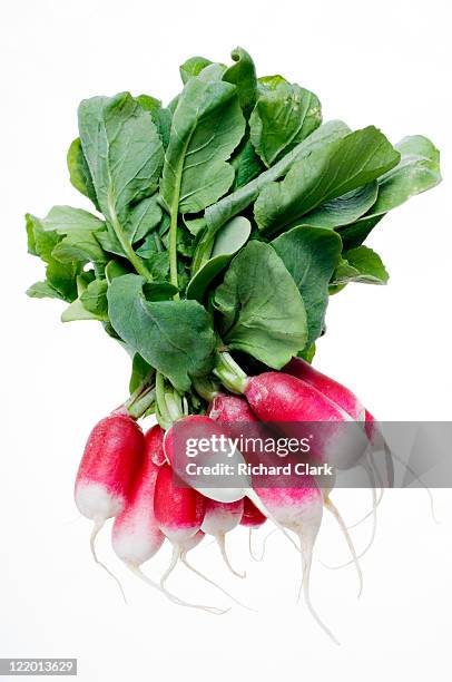 bunch of radishes - root vegetables stock pictures, royalty-free photos & images