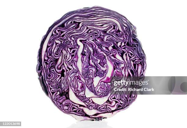 cross section of a red cabbage - cross section stock-fotos und bilder