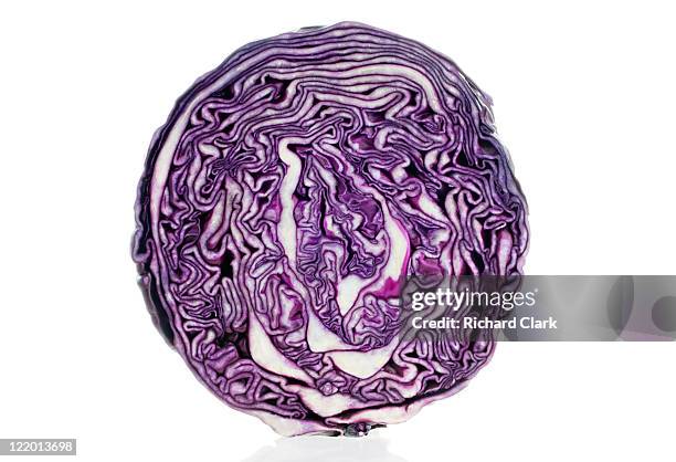 cross section of a red cabbage - cabbage stock pictures, royalty-free photos & images