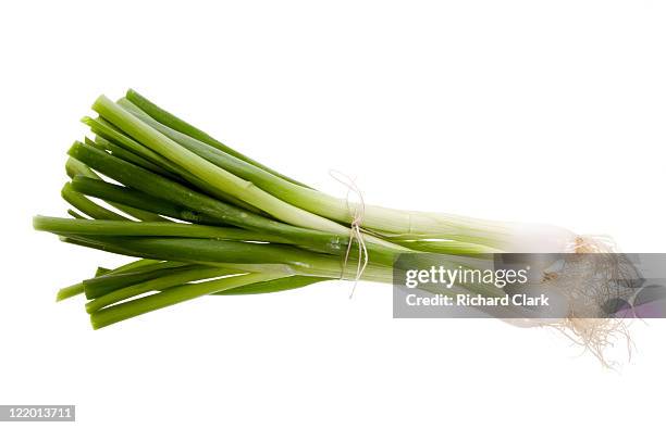 spring onions - bosui stockfoto's en -beelden