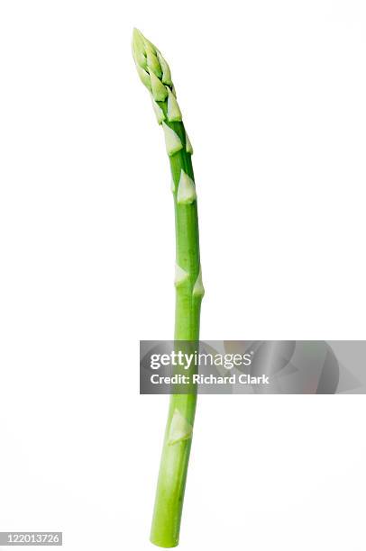 asparagus spear - asparagus stock pictures, royalty-free photos & images