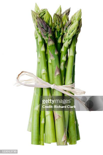 bunch of asparagus - spargel stock-fotos und bilder