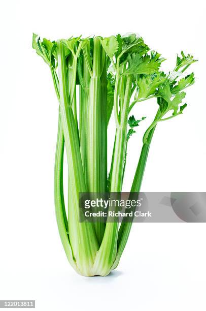celery - bleekselderij stockfoto's en -beelden