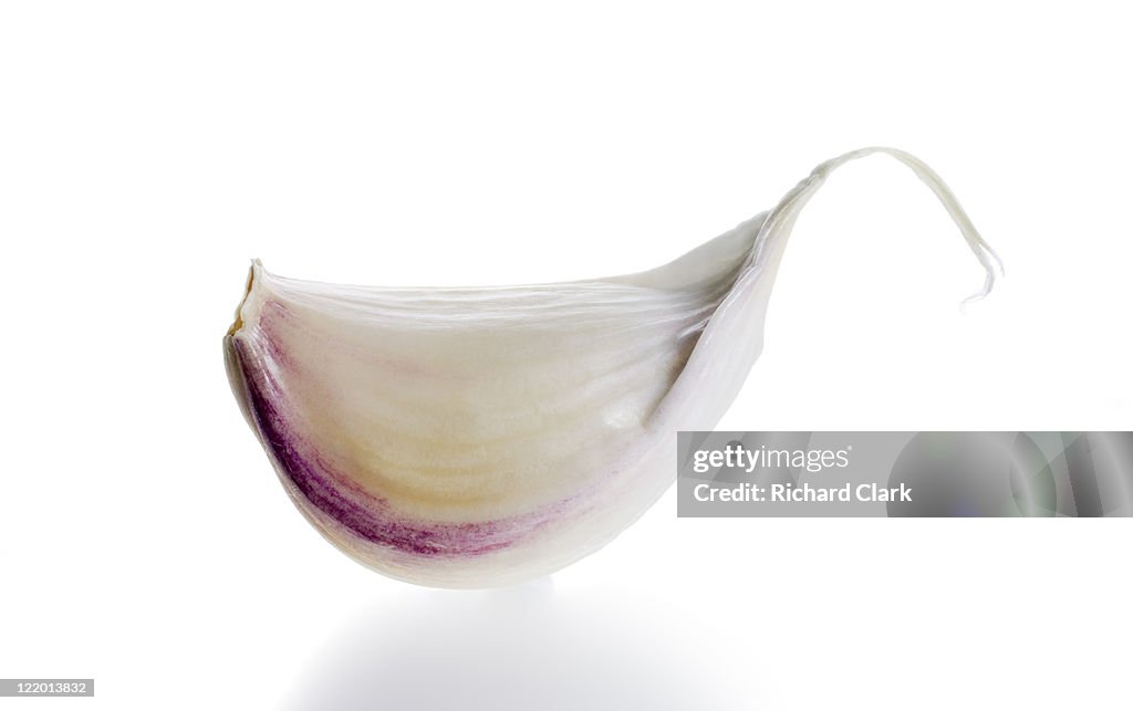 Garlic clove (Allium sativum)