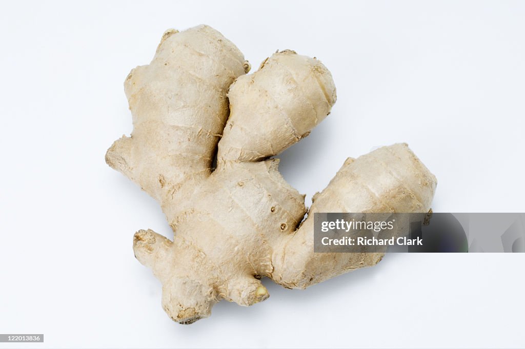 Ginger (Zingiber)