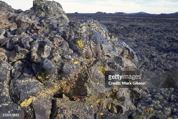 lava and lichen, craters of the moon, id - lava stone stock pictures, royalty-free photos & images