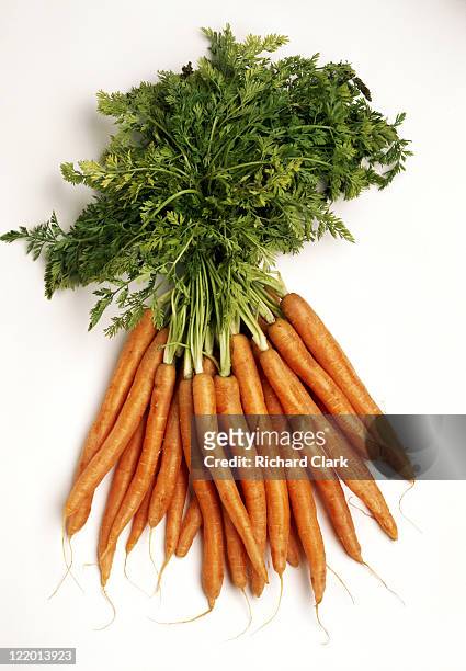 bunch of carrots with leaves - carrot isolated stock pictures, royalty-free photos & images