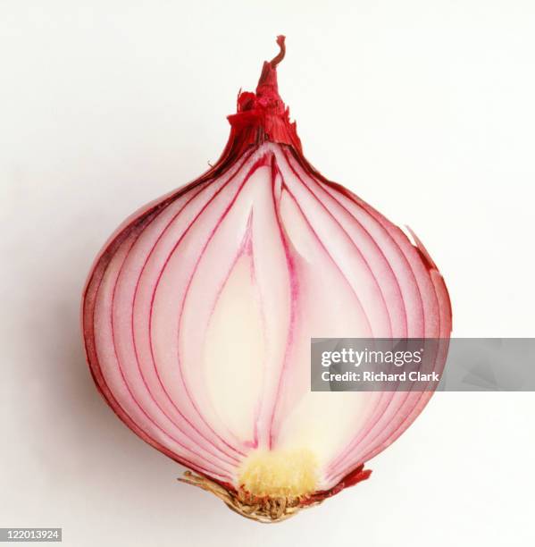 red onion cut in half - oignon photos et images de collection