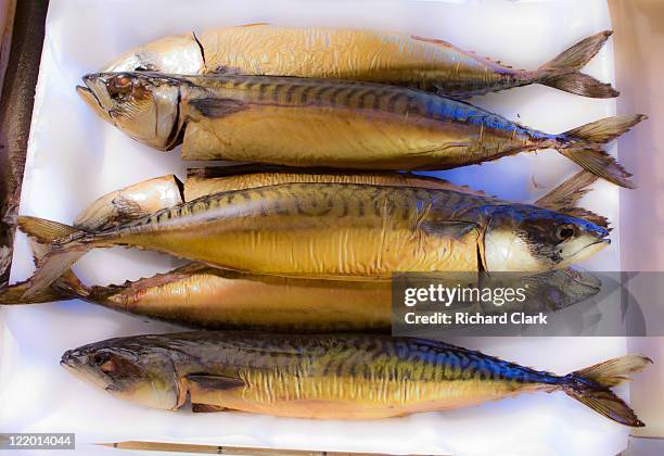 smoked herrings - richard herring stock pictures, royalty-free photos & images