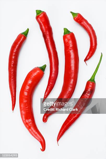red chillies - red pepper stock pictures, royalty-free photos & images