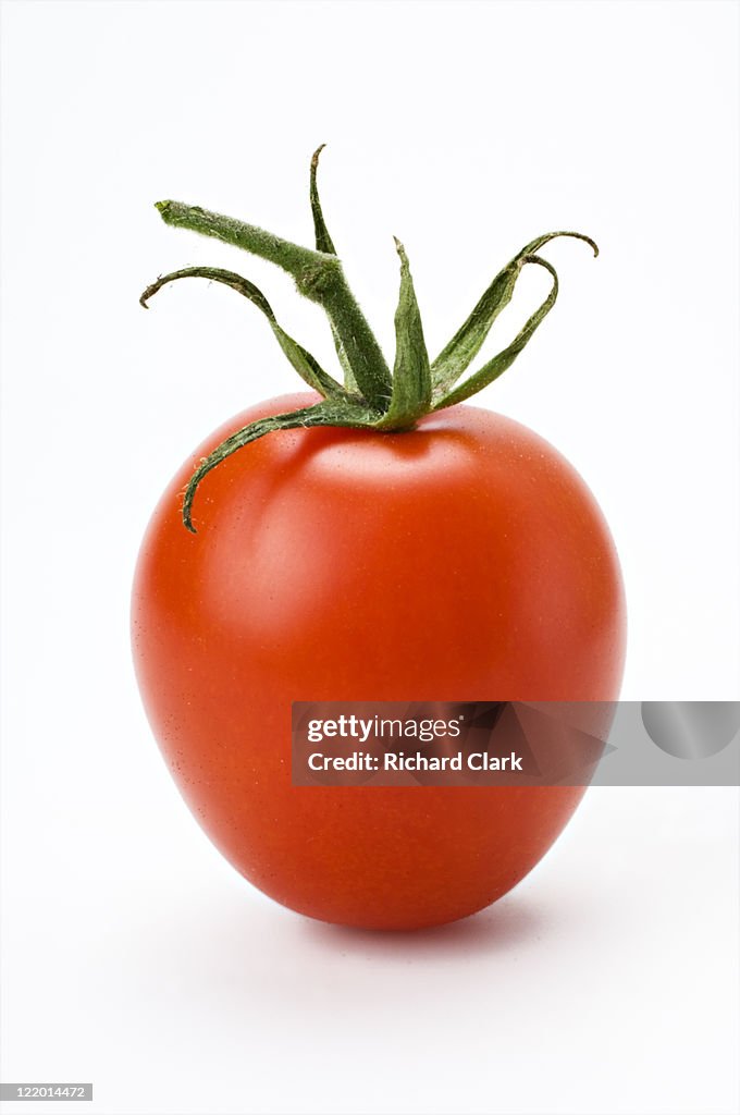 Whole ripe tomato