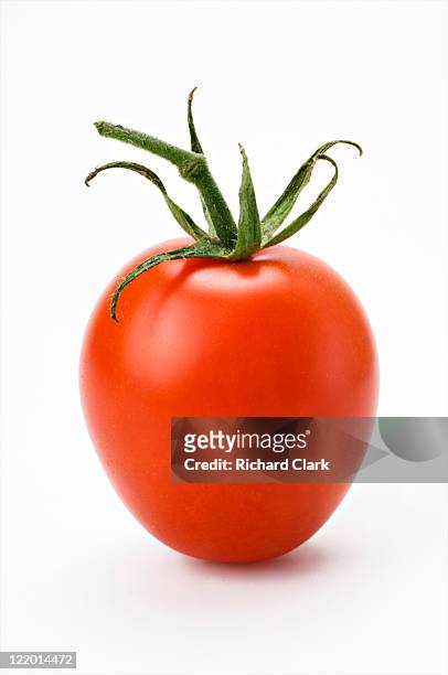 whole ripe tomato - tomate fotografías e imágenes de stock