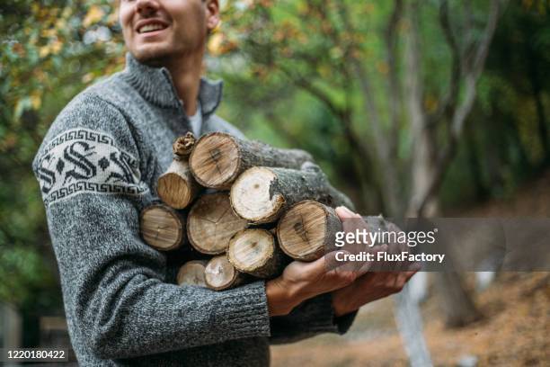giovane adulto che raccoglie legna da ardere in una foresta - log foto e immagini stock
