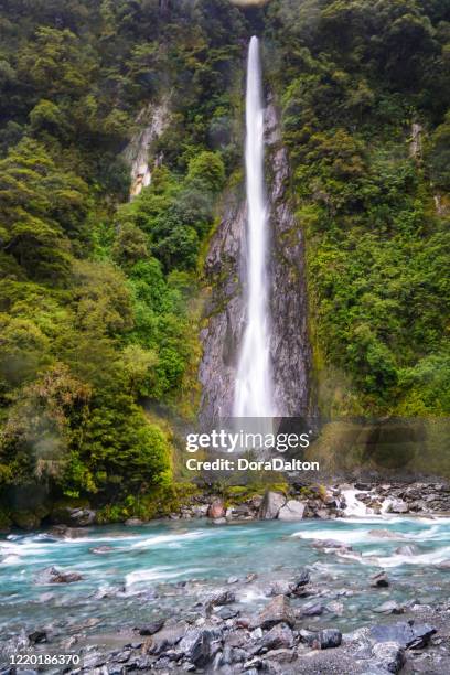 thunder creek falls, haas pass, mount aspiring national park in west coast, new zealand - haas stock pictures, royalty-free photos & images