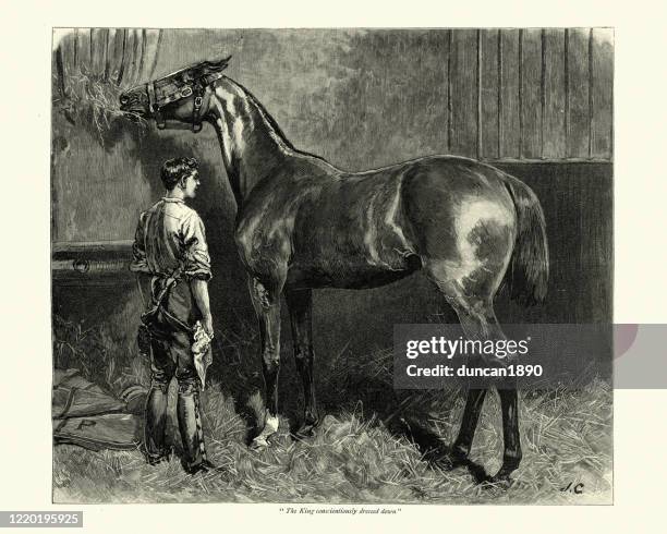 stable hand caring for a racehorse, victorian 19th century - groomsmen stock illustrations