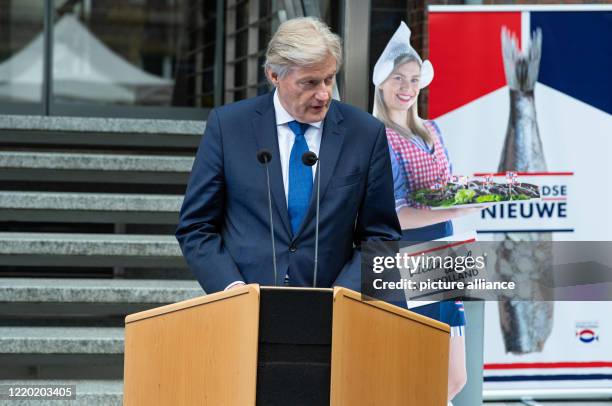 Martin Van Rijn 32 Martin Van Rijn Stock Photos, High-Res Pictures, and Images - Getty ...