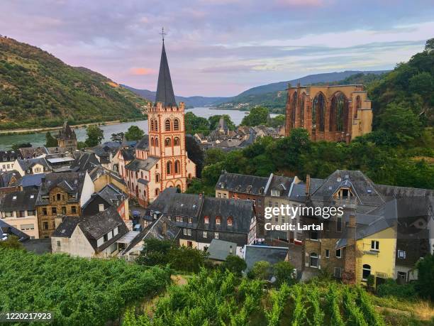 view of bacharach, germany - bacharach stock pictures, royalty-free photos & images