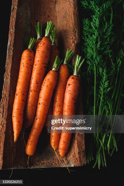 homegrown carrots. - carrot stock pictures, royalty-free photos & images