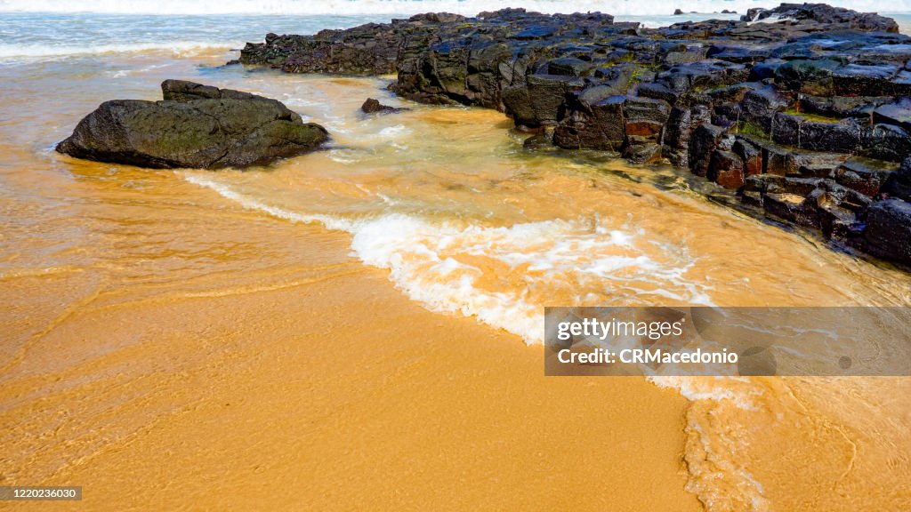 Sunny day, warm water, delicious sand. All the best. This is Sancho beach in Fernando de Noronha, PE, Brazil.