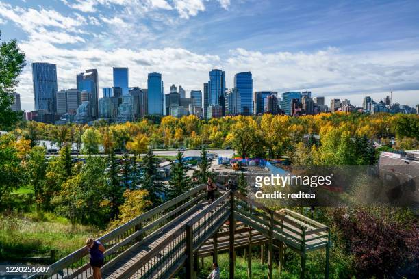 calgary city skyline - calgary summer stock pictures, royalty-free photos & images