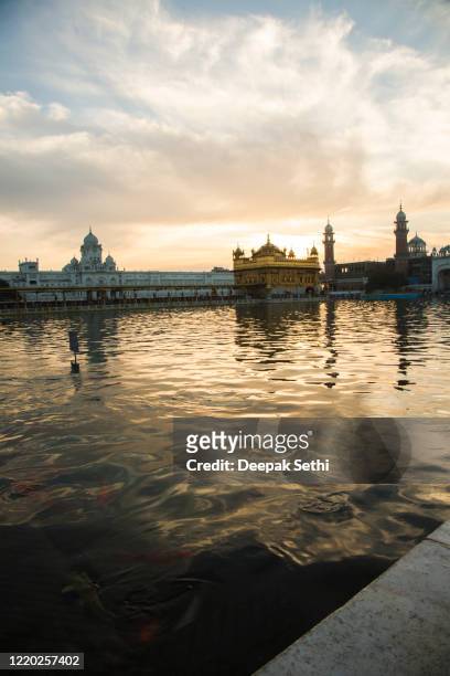 golden temple - stock images - reflection water india stock pictures, royalty-free photos & images