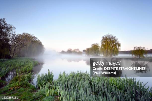 swirl - by the river stock pictures, royalty-free photos & images