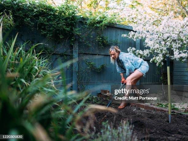 blonde female gardening - adult woman garden flower stock-fotos und bilder